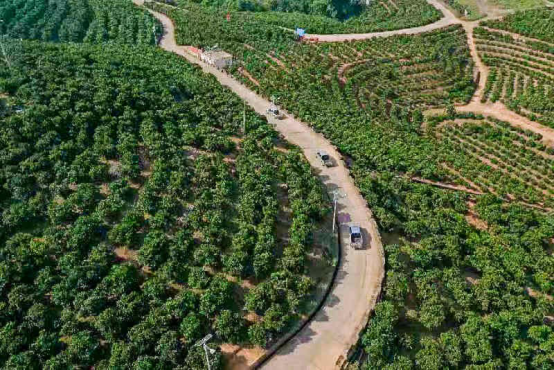 政策利好 长城风骏引领皮卡下乡创富潮